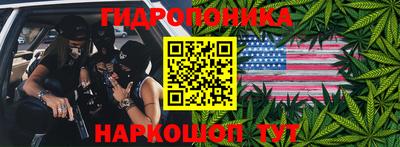 хмурый Шелехов