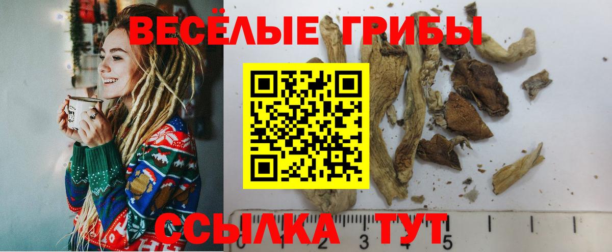 Галлюциногенные грибы Psilocybe  Галлюциногенные грибы прущие грибы  Вход с VPN  купить   Великий Устюг 